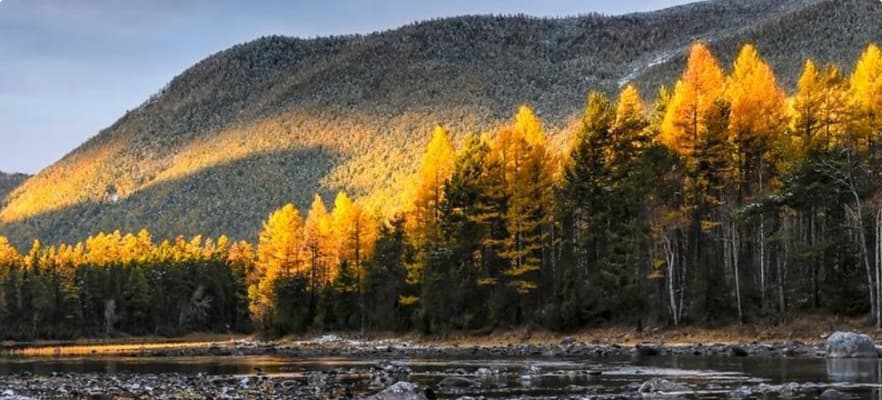 Сохранение уникальной территории Бештаугорского заказника от застройки элитными дачами и опасным производством